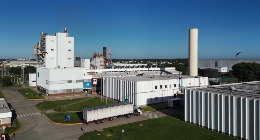 IFF Expands Latin American Footprint With Brazil Application Lab